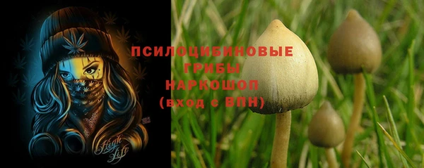 метадон Гусь-Хрустальный