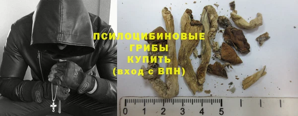 COCAINE Гусев